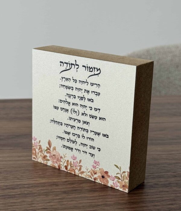 תמונת המוצר