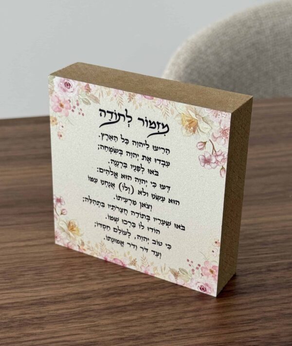 תמונת המוצר