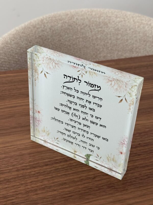 תמונת המוצר