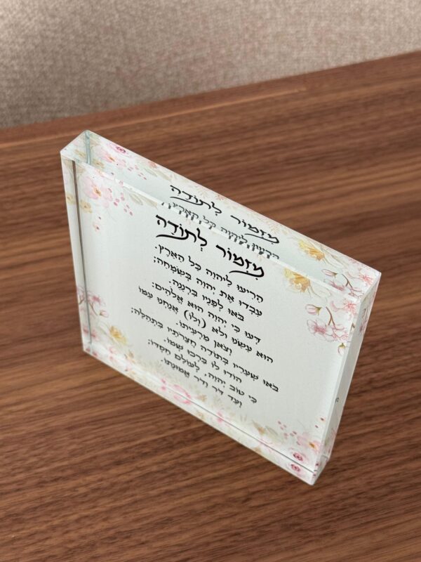 תמונת המוצר